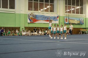 В Великих Луках состоялось Первенство по командной гимнастике (фото)