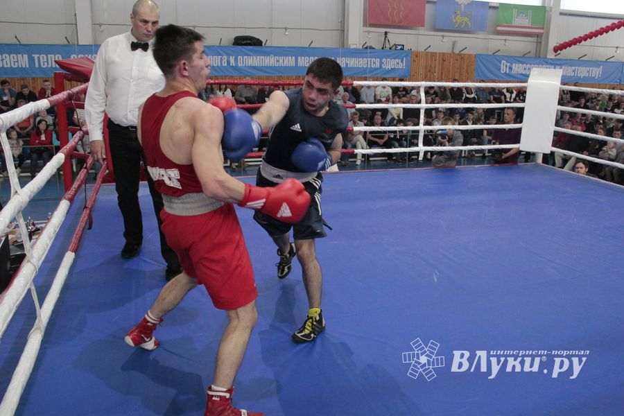 Матчевая встреча по боксу Великие Луки —Псков — Грозный (ФОТО)