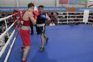 Матчевая встреча по боксу Великие Луки —Псков — Грозный (ФОТО)