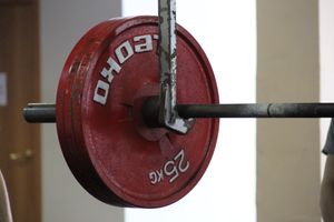 Великолучане завоевали награды на открытом мастерском турнире WPU «Ступинская высота» (ФОТО)