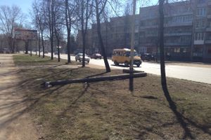 Весне дорогу!