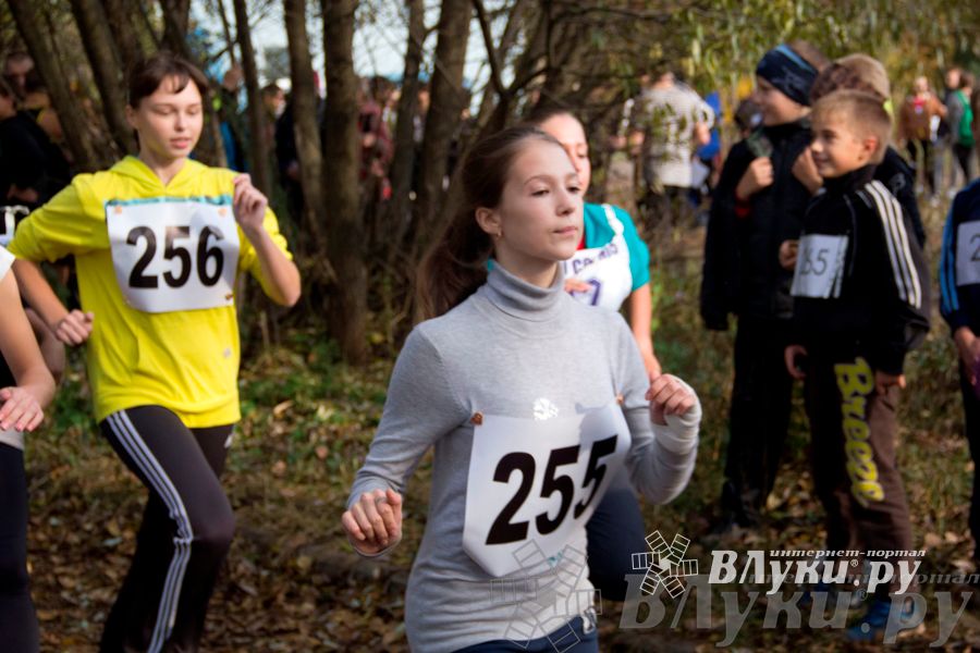 В Великих Луках прошел «Осенний кросс» 