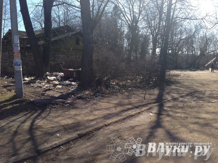 Весне дорогу!