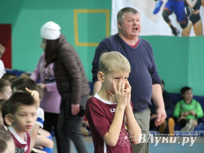 Кубок «Дружбы» уехал из Великих Лук в Лихославль