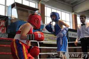 3-й день соревнований Международного турнира по боксу