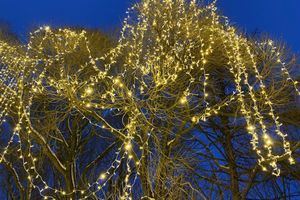 Великие Луки продолжают украшать к Новому году (ФОТО)