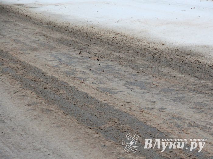 В Великих Луках — 20 км/ч (ФОТО)