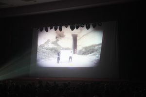 Состоялся концерт братьев Сафроновых «Империя иллюзий» (фото)