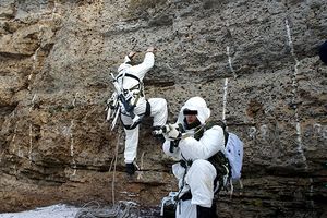 В лесах Псковской области тренируются разведчики Западного военного округа (ФОТО)