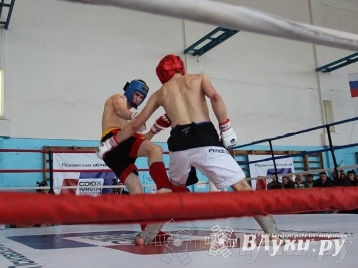 Чемпионат Псковской области по ММА