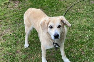 Фото: © ВЛуки.ру