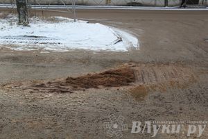 Зима. Начало