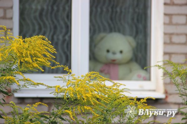 Великолучанка едва не лишилась квартиры из-за долгов