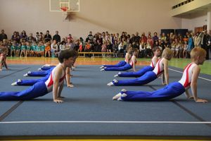 Парад гимнастики