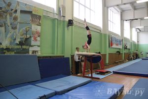 В Великих Луках прошел турнир по спортивной гимнастике (фото)