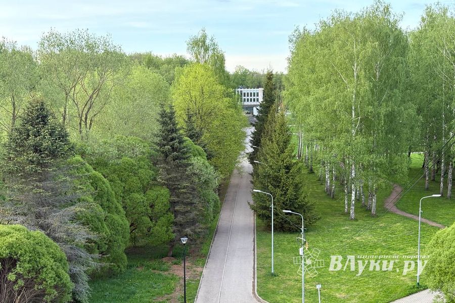 ВЛуки.ру