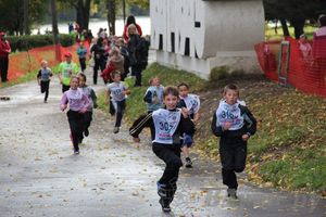 Кросс нации