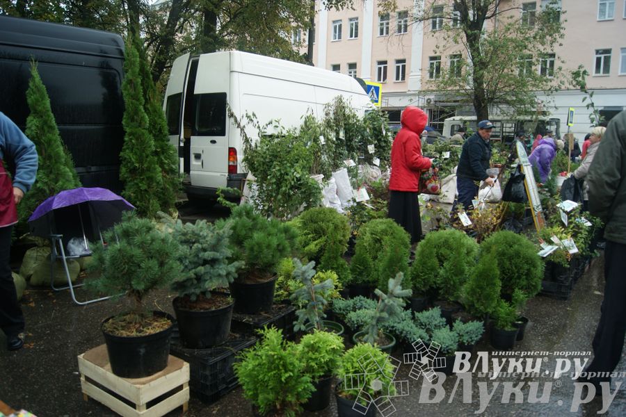 ​Универсальная торговая ярмарка «Осень – 2014» состоялась  в Великих Луках