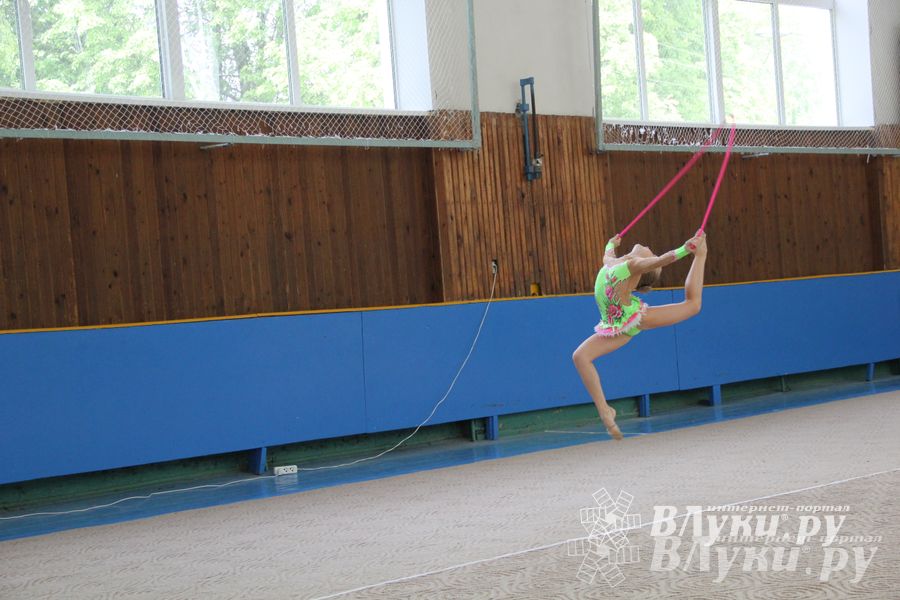В Великих Луках прошло Первенство по художественной гимнастике (фото)