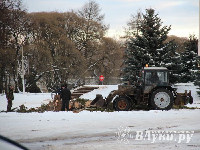 Главная городская ёлка отправилась на свалку (ФОТО)