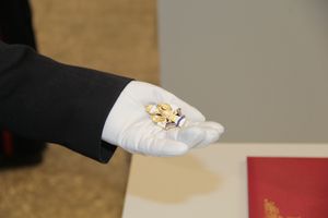 Великолукские кадеты принесли присягу (ФОТО)