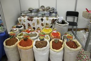 Шестая великолукская универсальная выставка открылась в Великих Луках (фото + видео)