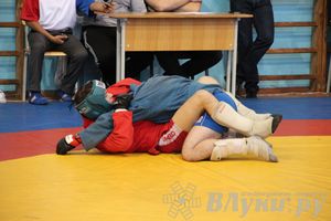 Первенство Псковской области по самбо