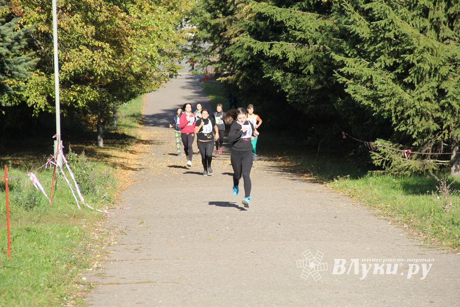 Легкоатлетический осенний кросс прошел в Великих Луках (фоторепортаж)