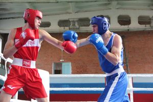 В Великих Луках прошел турнир по боксу памяти Е. Клевцова (ФОТО)
