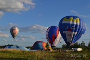 Фото с сайта flymonitor.ru