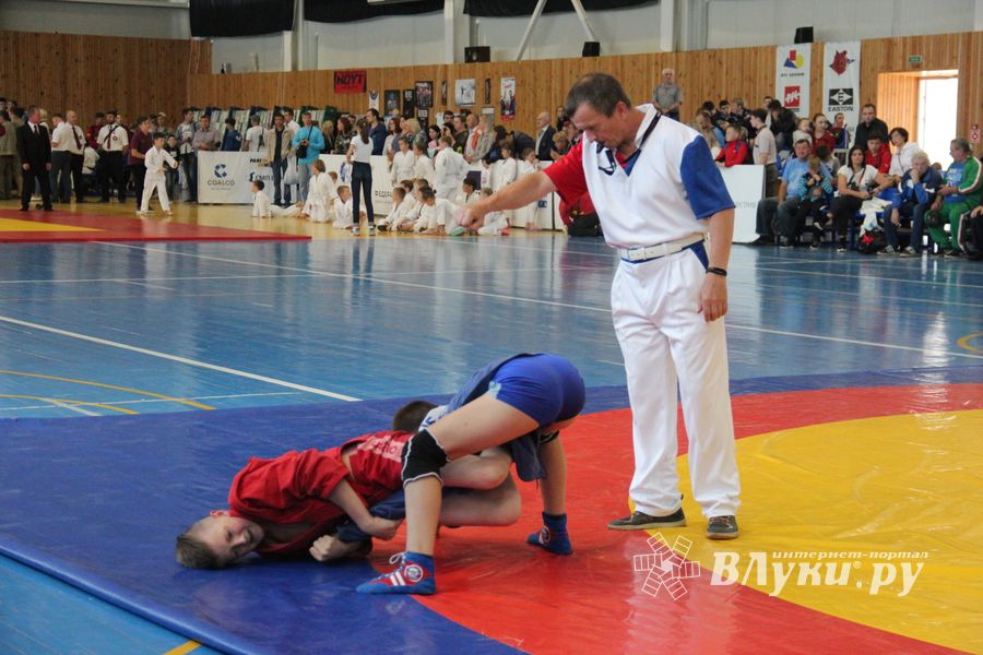 1-й Фестиваль боевых искусств состоялся в Великих Луках  (ФОТО)