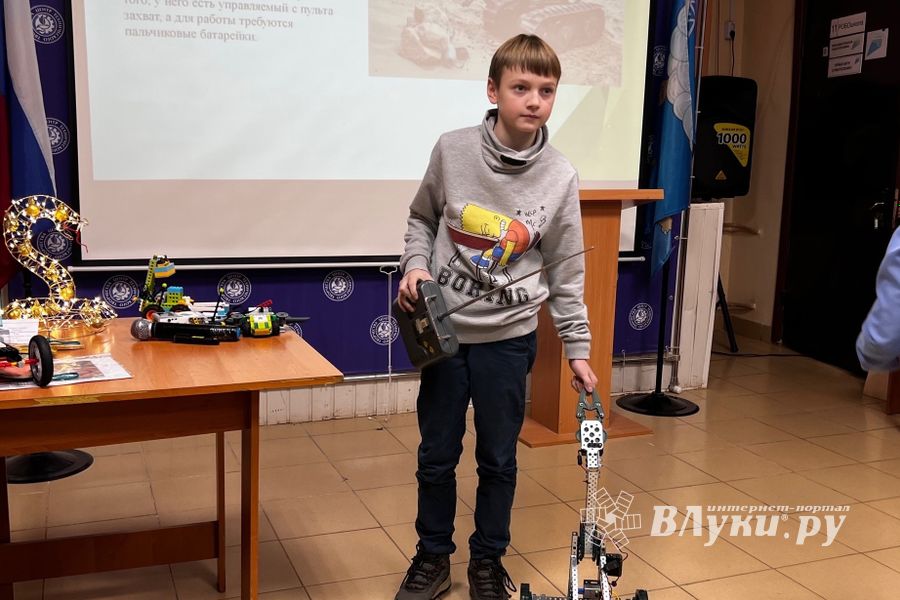 ВЛуки.ру