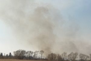 Великолукский район полыхает (ФОТО; ВИДЕО)