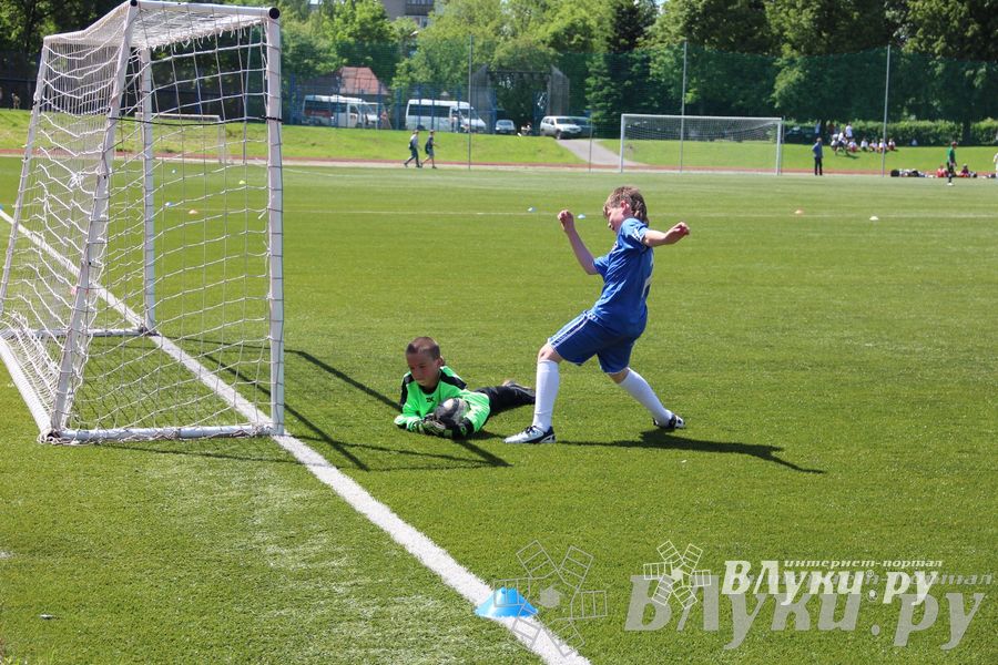 «Локобол-2013» в Великих Луках