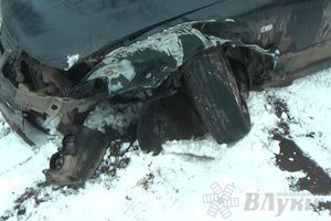 В Великих Луках водитель Фольксвагена врезался в дерево и выехал на тротуар (ФОТО)