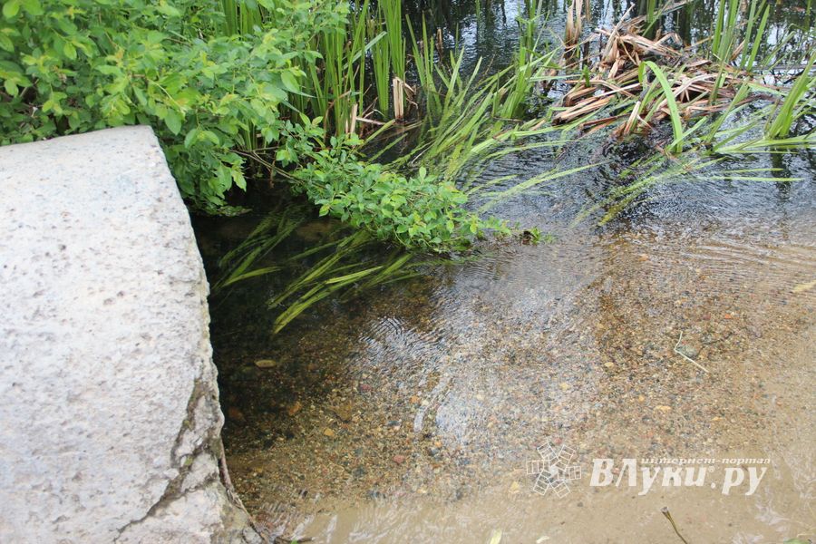 «Партия Дела» делает дело