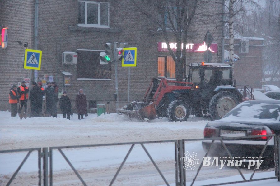 Великие Луки заносит снегом (фото)