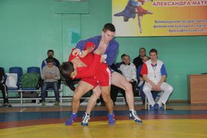 В Великих Луках прошел турнир по самбо, посвященный подвигу Александра Матросова (ФОТО)