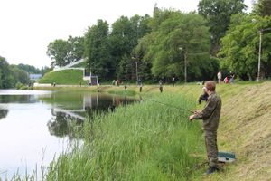 Чемпионат Великих Лук по ловле спиннингом: клевала, но мало (ФОТО)