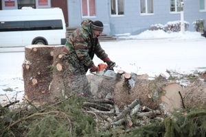 Главная городская ёлка отправилась на свалку (ФОТО)