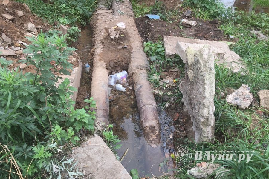 В Великих Луках забил «гейзер», по словам коммунальщиков, «рядовая ситуация» (ФОТО+ЗВУК)