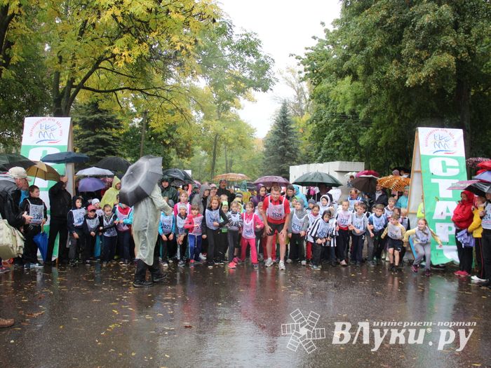 В Великих Луках прошел «Кросс Нации - 2015» (фото)