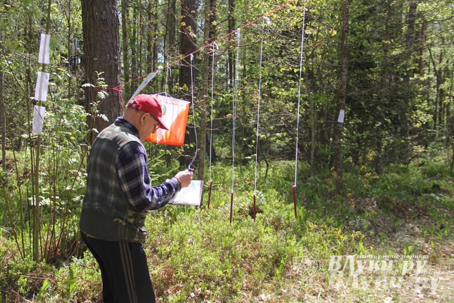 В Великолукском районе прошли массовые соревнований по спортивному ориентированию (фото)