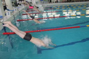 В Великих Луках прошли соревнования по плаванию «Быстрый Кашалот»