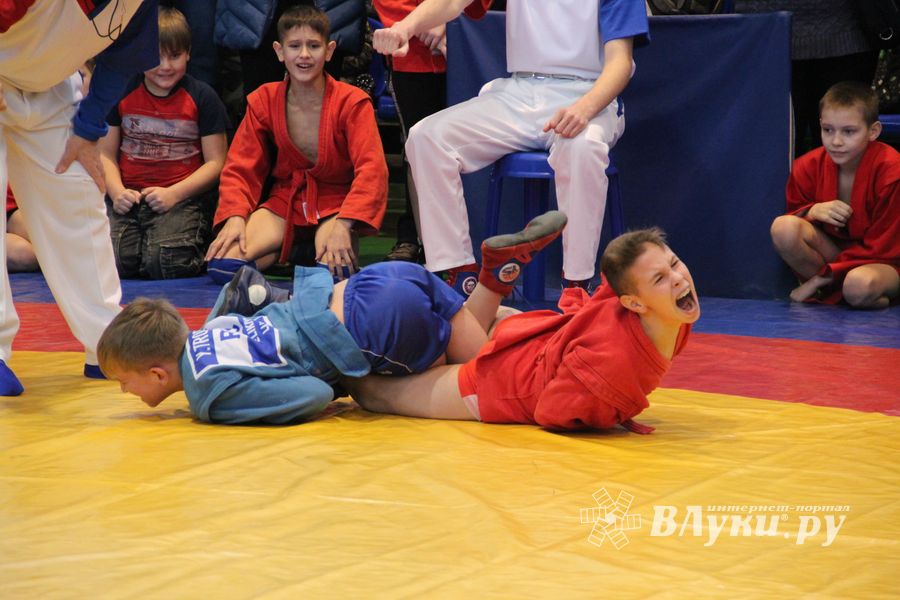 В Великих Луках проходит турнир самбистов (ФОТО)