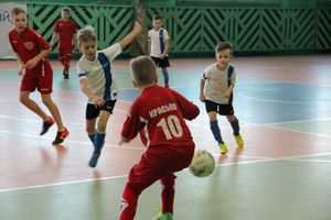 Кубок «Дружбы» уехал из Великих Лук в Лихославль