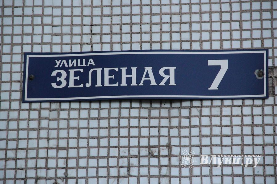 Жители улицы Зелёной выступили против переименования (ФОТО)