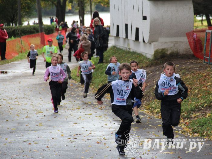 Кросс нации