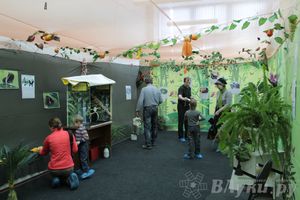 Обзор выставок Краеведческого музея