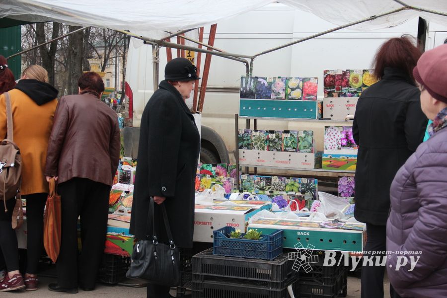 В Великих Луках прошла универсальная ярмарка «Весна-2019» (ФОТО)